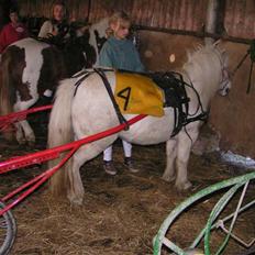 Anden særlig race aqua lene *Gamle part* R.I.P