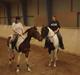 Pinto moonlights givea.