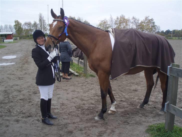 Dansk Varmblod My Lightfoot Lime R.I.P Himmelhest billede 5