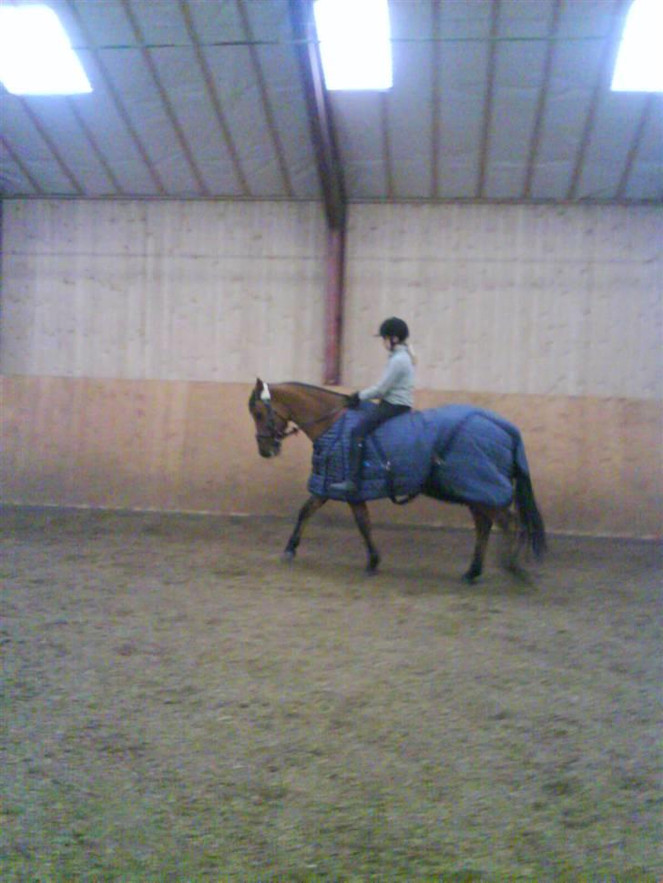 Anden særlig race Fleur *leveret tilbage* billede 2