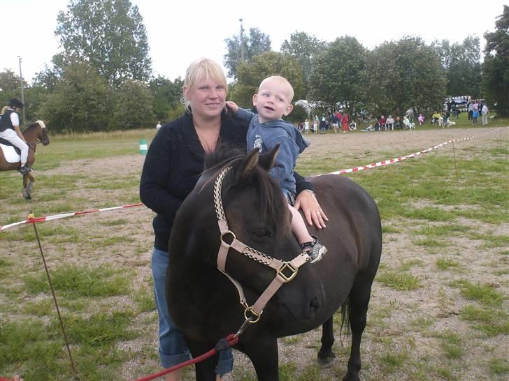 Anden særlig race Tarzan   - første gang min nevø er oppe på en hest! ( skal lige siges at han er virkelig bange for heste, uanset hvor små de er) billede 20