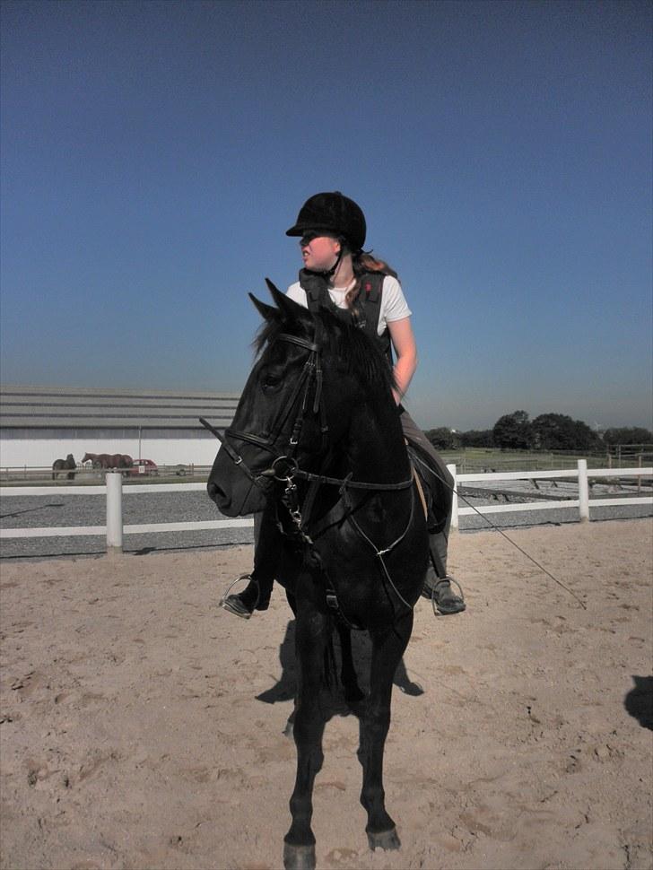 Anden særlig race Diablo billede 2