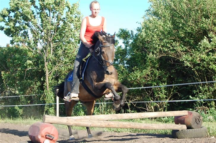 Anden særlig race Frederik - R.I.P. :'( - Jubii, vi springer lige lidt billede 13