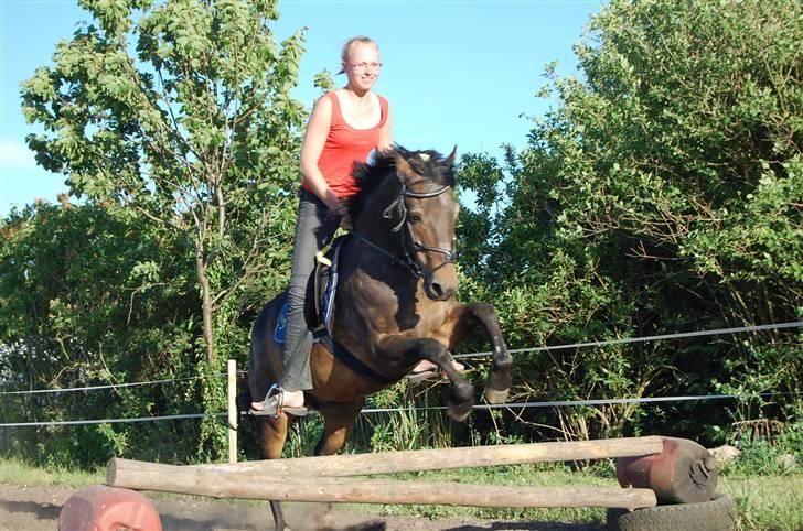 Anden særlig race Frederik - R.I.P. :'( - Ups, har vist glemt hjelmen... :) billede 14