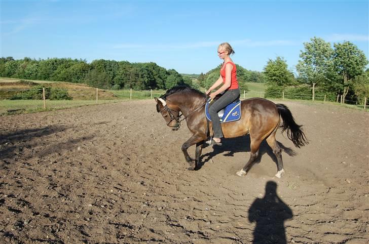 Anden særlig race Frederik - R.I.P. :'( - Lidt dressur billede 15