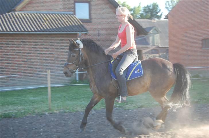 Anden særlig race Frederik - R.I.P. :'( - Han er lidt frisk efter at ha sprunget billede 16