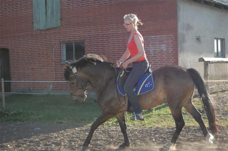Anden særlig race Frederik - R.I.P. :'( - Jaaaa, lidt dressur igen billede 17