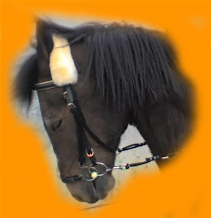 Anden særlig race Frederik - R.I.P. :'( - Prøvede lige at redigere lidt i billedet billede 19