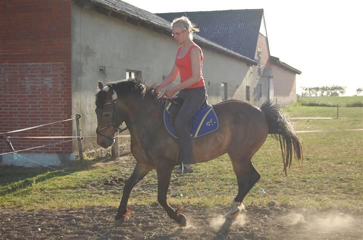 Anden særlig race Frederik - R.I.P. :'( - Lidt galop billede 20