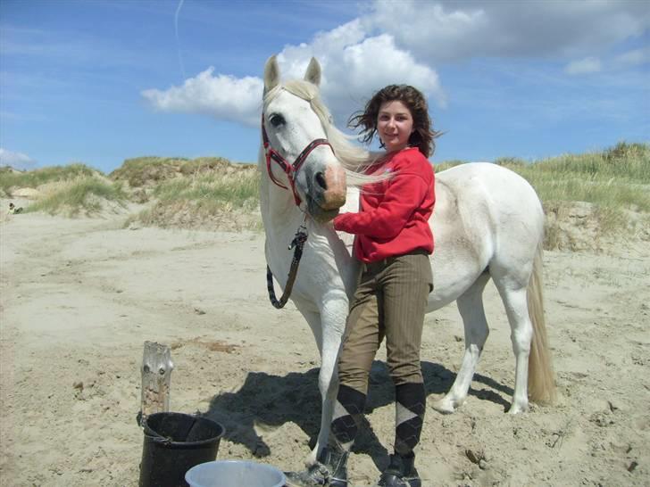 Anden særlig race Sjizzi  *solgt* - Mig og Sjizzi billede 1