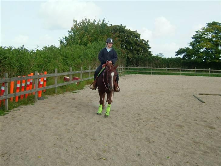 Quarter BR Genuine Sparkel  billede 2