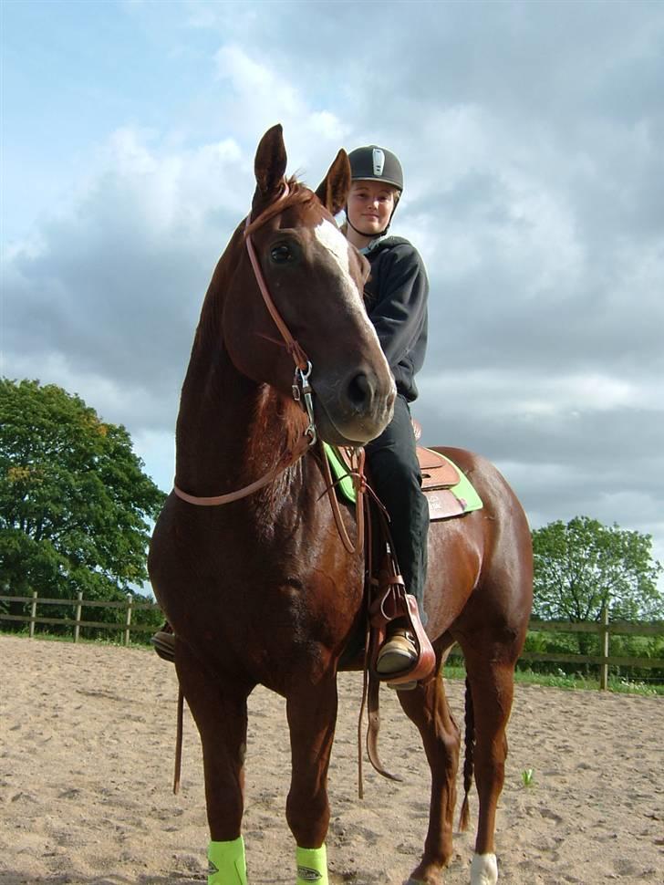 Quarter BR Genuine Sparkel  billede 3