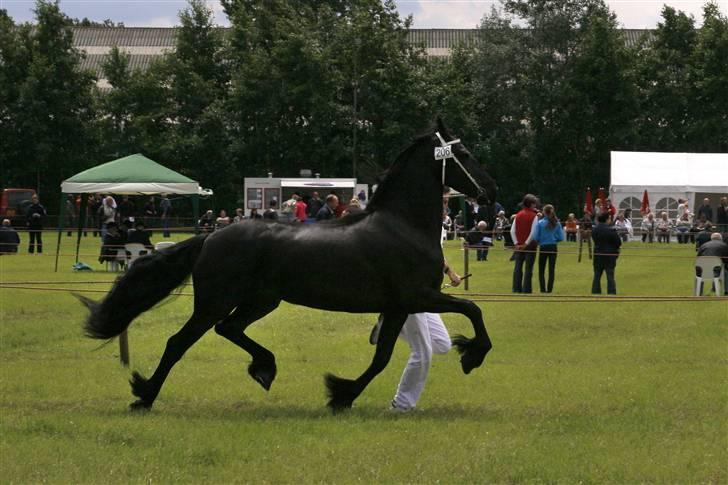 Frieser Joukje W. billede 1