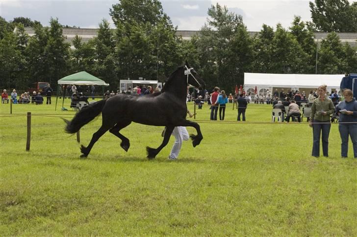 Frieser Joukje W. billede 2