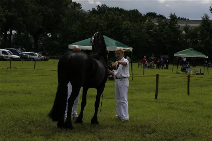 Frieser Joukje W. billede 3