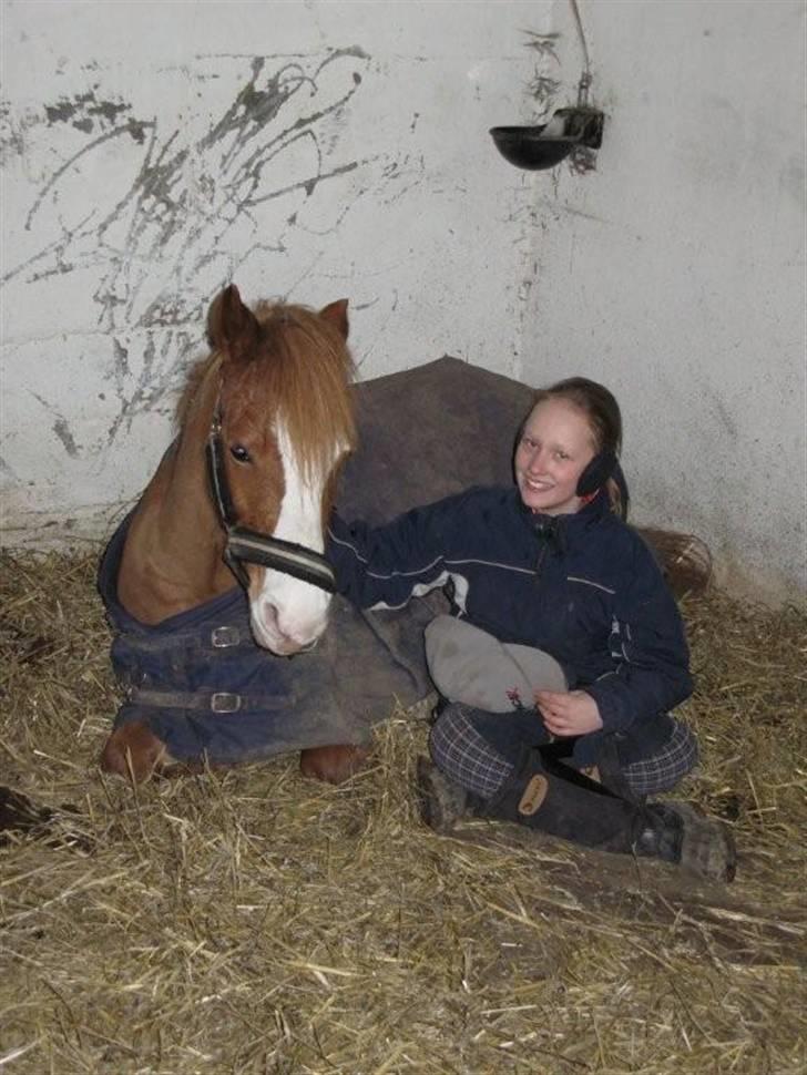 Anden særlig race Miss Unique *solgt* billede 10