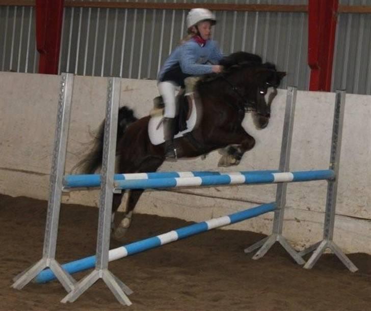 Appaloosa Bandana Joe *Byttet;/* - 8) Min smukke dreng til højdespring, nåede op på 1m og så kiksede afstanden;( billede 8