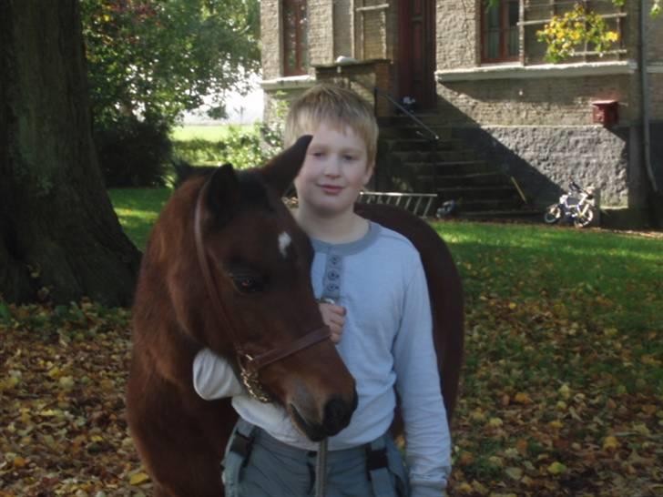 Anden særlig race Ofelia (Fie) billede 1