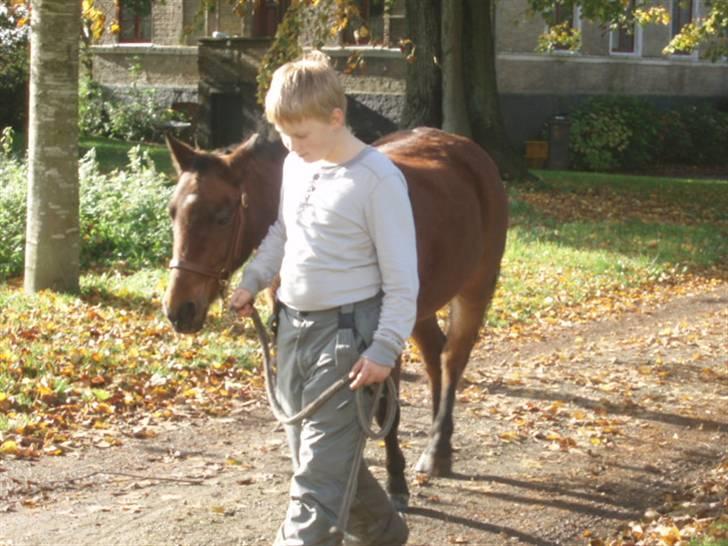 Anden særlig race Ofelia (Fie) billede 2