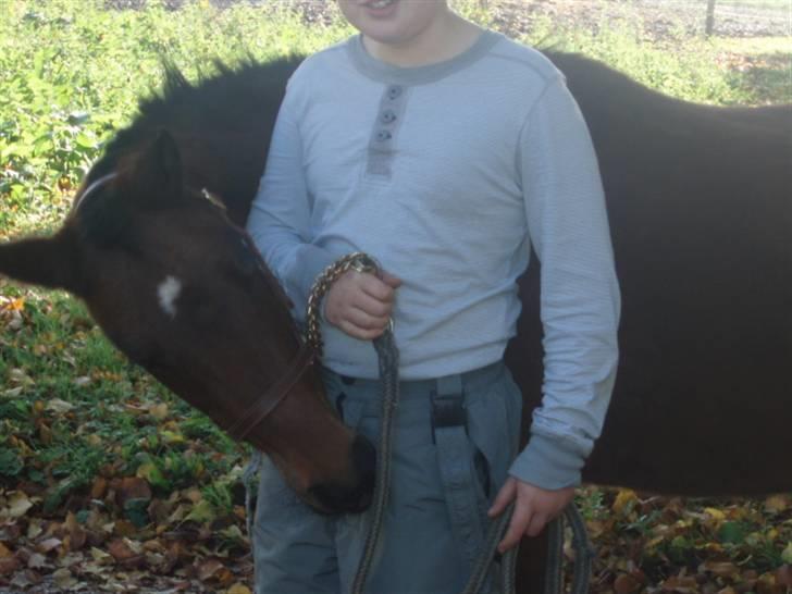 Anden særlig race Ofelia (Fie) billede 4