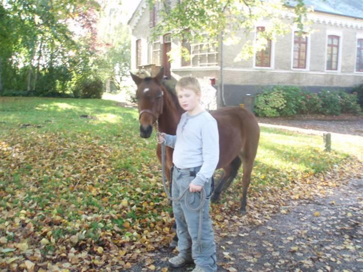 Anden særlig race Ofelia (Fie) billede 5