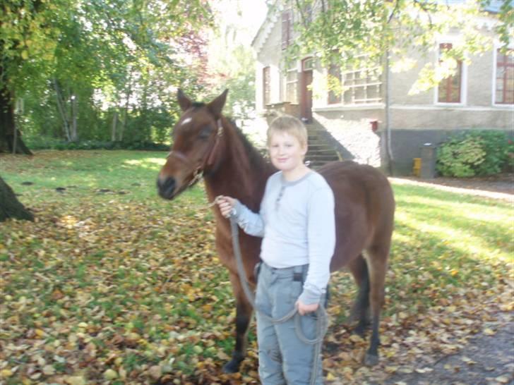 Anden særlig race Ofelia (Fie) billede 6