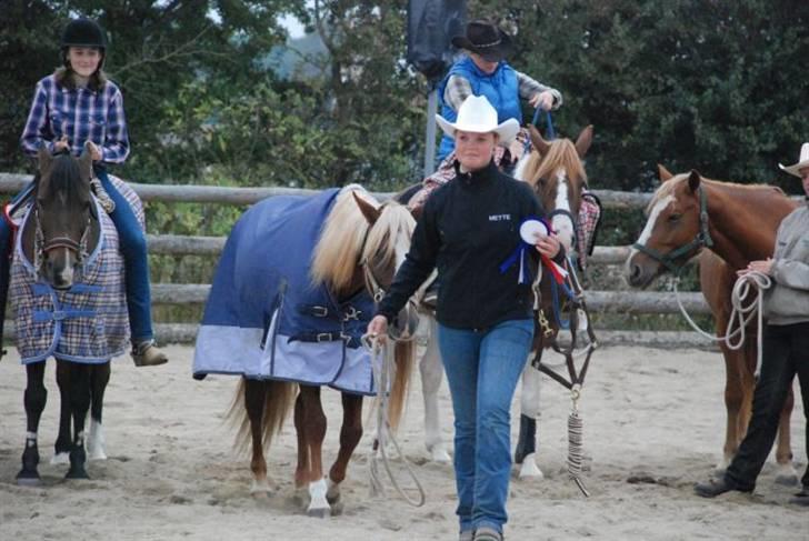 Anden særlig race Sokata (SOLGT) billede 18