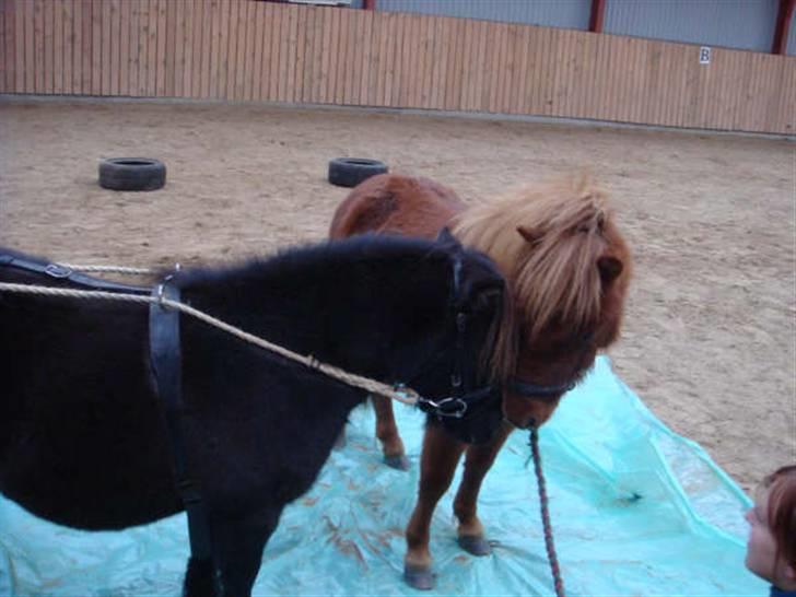 Anden særlig race Ferrari *Solgt* billede 7