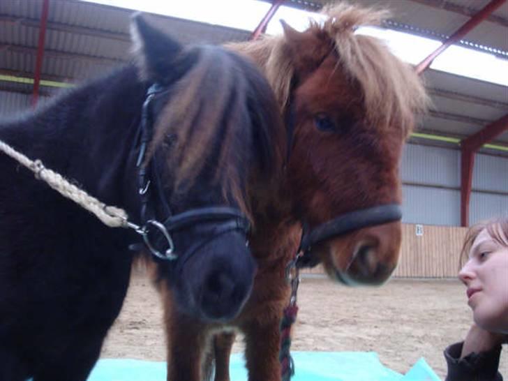 Anden særlig race Ferrari *Solgt* billede 9