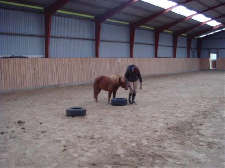 Anden særlig race Ferrari *Solgt* billede 10