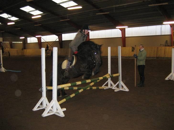 Anden særlig race Lego<3<3(tidl. part)<3<3 billede 7