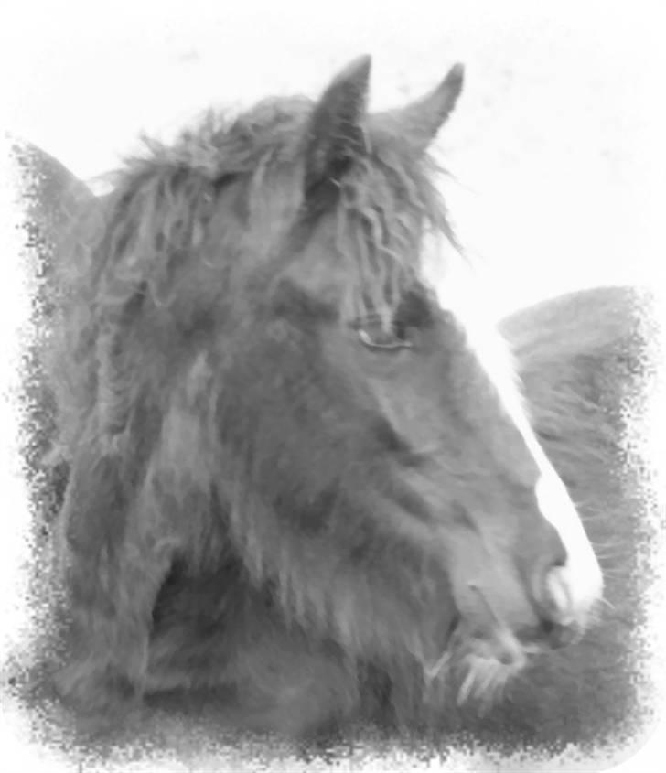 Tinker Nørregårds Lillefix billede 1