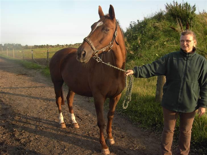 Anden særlig race Freja - 5 uger efter køb, nu begynder pelsen at skinne og efter en god vask blev hun rød.... billede 4