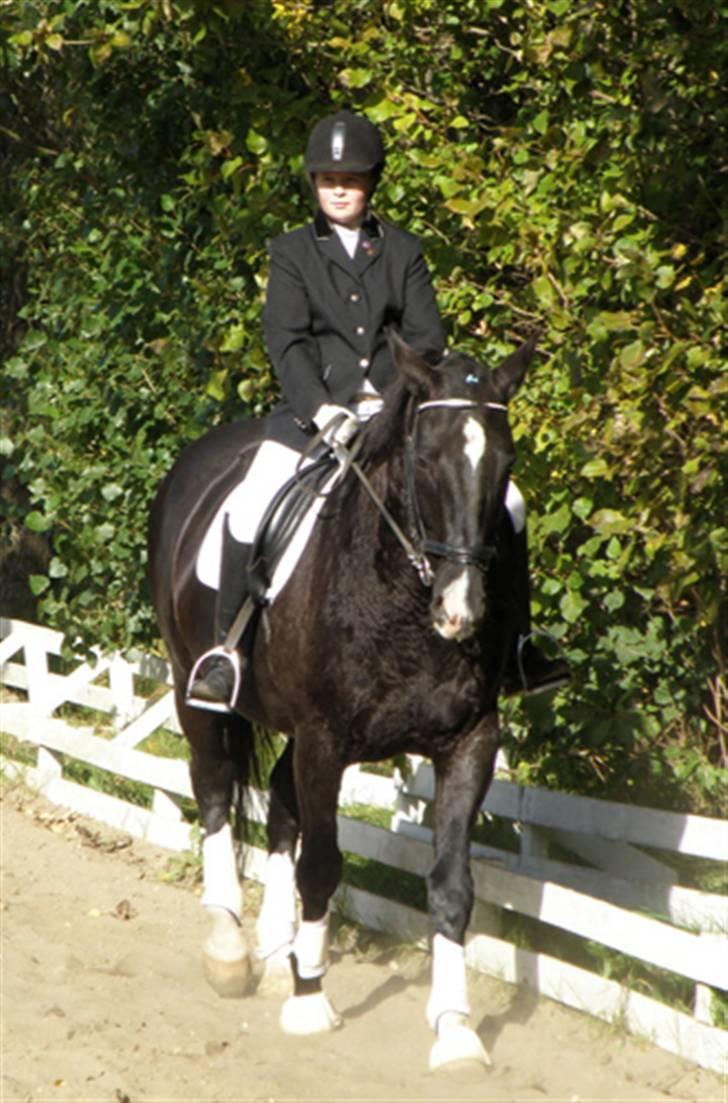 Dansk Varmblod Lady Hunter  - Mig og Hunter til det første dressur stævne..!! <3 billede 12