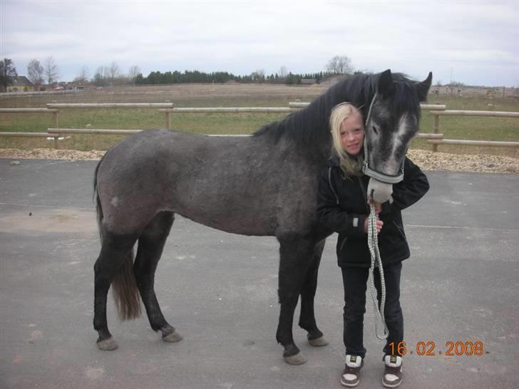 Anden særlig race Aziz SOLGT - Min dejlige pony og jeg billede 1