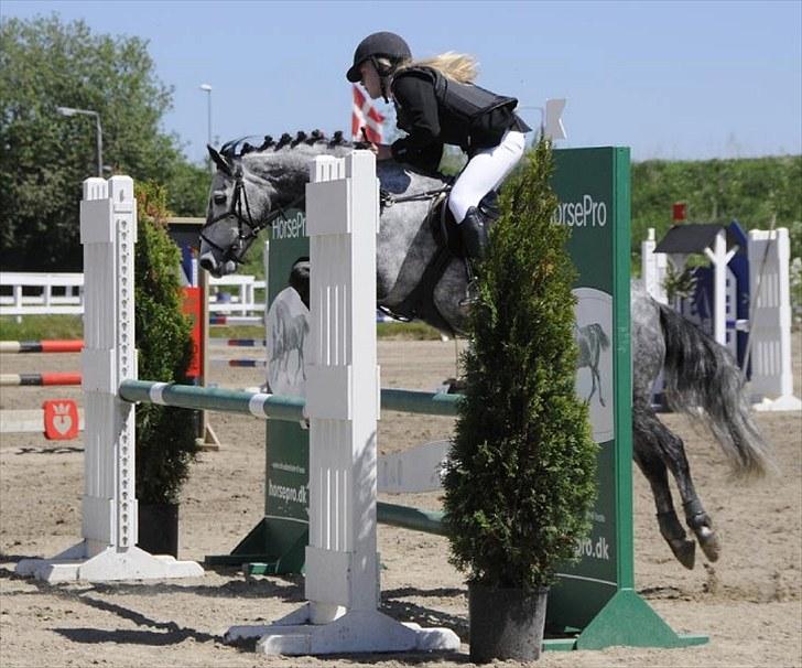 Anden særlig race Aziz SOLGT - B-stævne Hillerød MB Juni 2010 billede 10