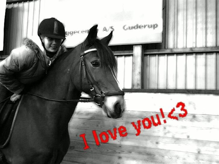 Anden særlig race Torja (Halvpart) - Han er en gud! <3 billede 6