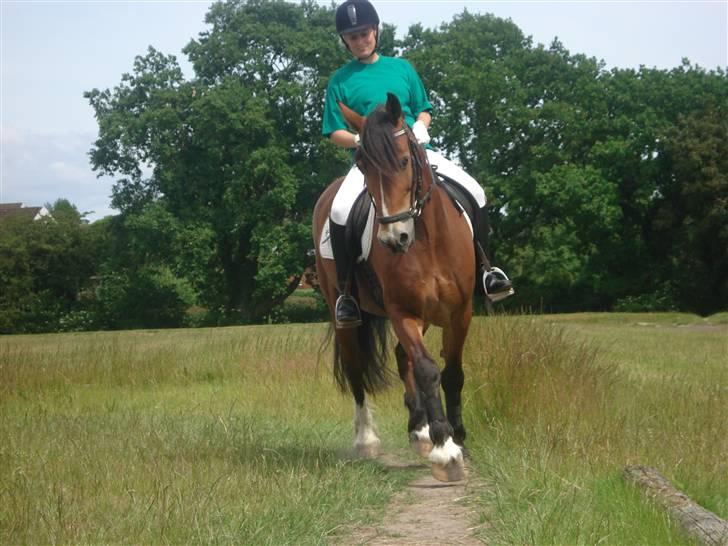 Anden særlig race Torja (Halvpart) - Tenna og Torja lør. d 27.6 09 #7 billede 7
