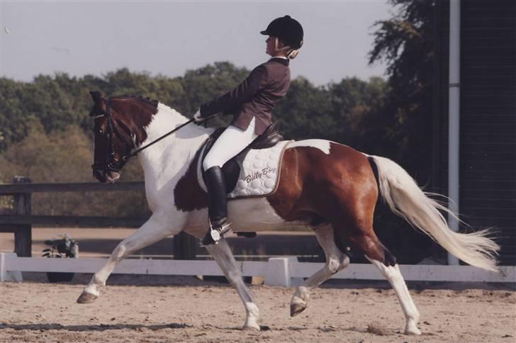 Anden særlig race Billy Boy<3  R.I.P. - velkommen til Billy Boys profil<3 billede 1