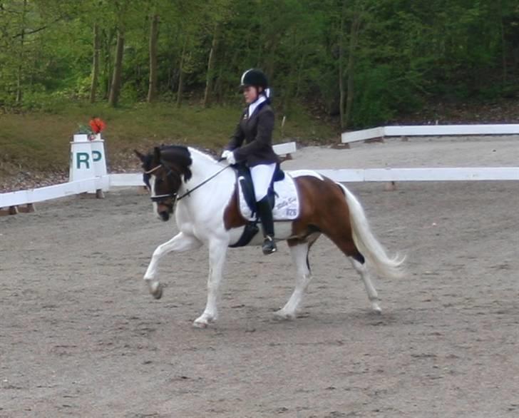 Anden særlig race Billy Boy<3  R.I.P. billede 14