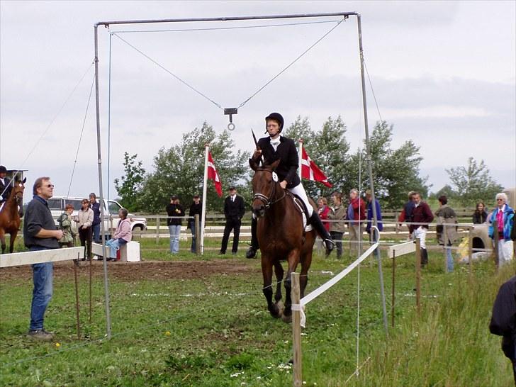 Anden særlig race Clay - Min mor og Clay til deres sidste stævne sammen, som var i 2004. Her er det ringridning - og de får ringen ;) Ret godt gået af gamle Clay, som her er 21 år. billede 4