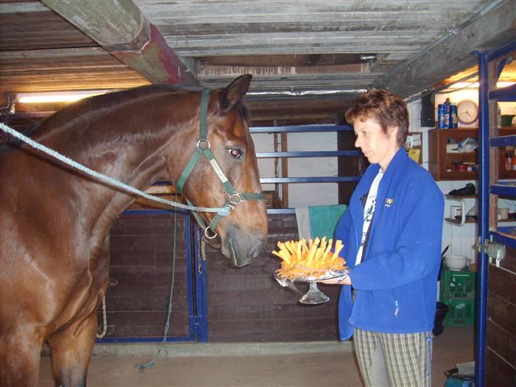 Anden særlig race Clay - Da Clay fyldte 25 år, fik han en hestelagkage. Den bestod af bunde af rugbrød og rævet gulerod. billede 5