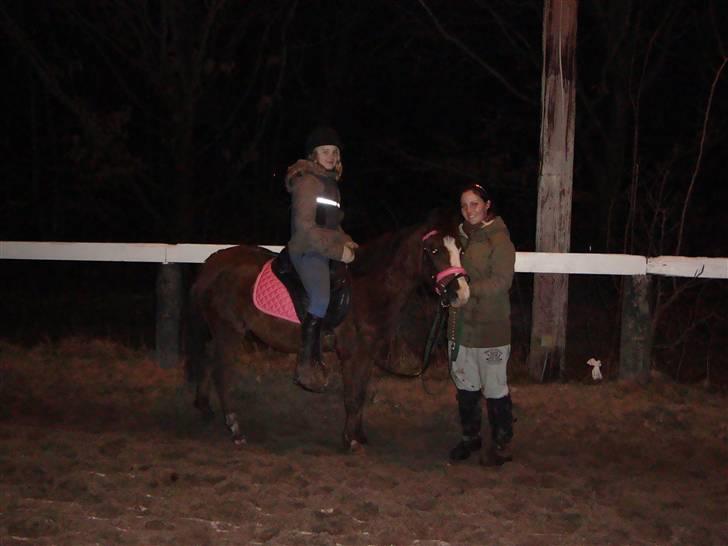 Anden særlig race Magnifique <3 SOLGT! - 2. gang med rytter billede 11