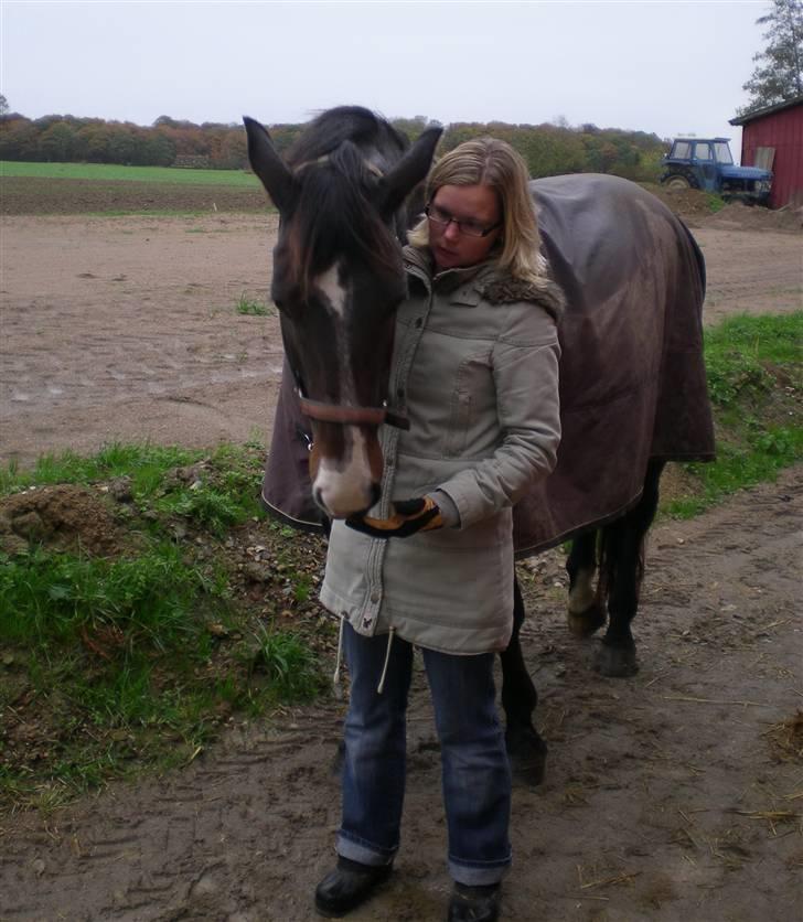 Oldenborg Light-Moon billede 17