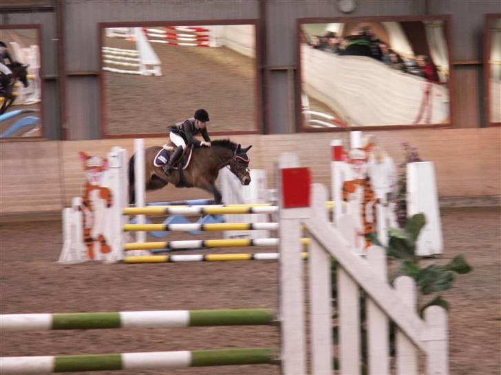 New Forest vognmandgårdens comet  - LA på fredriksværk billede 4