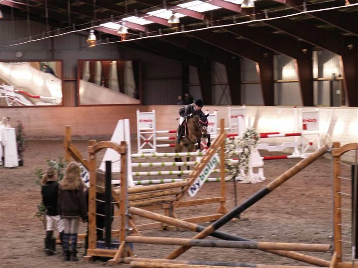 New Forest vognmandgårdens comet  - LA på fredriksværk billede 7