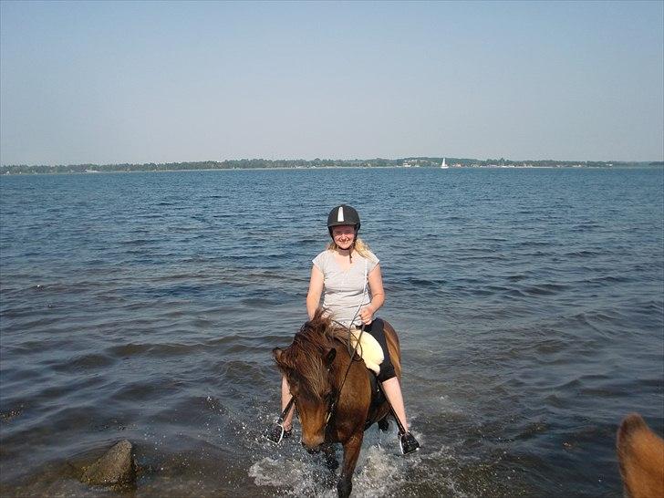 Islænder Náttfreyja f. Dyssemosen - Himmelhest billede 13