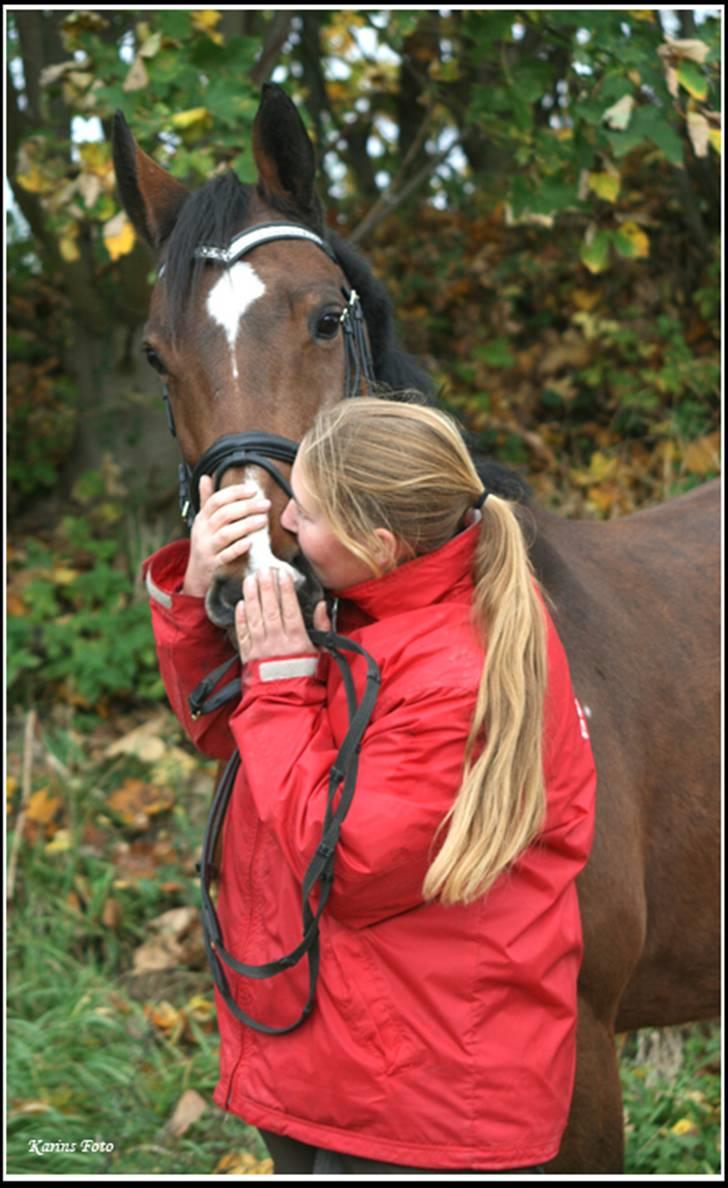 Dansk Varmblod Miss Manley R.I.P 23/10 billede 14