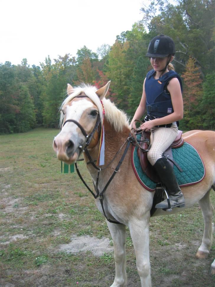 Haflinger Ziggi SOLGT. - vi red et ´´show´´ for de voksne og vi fik rosætter haha. billede 8