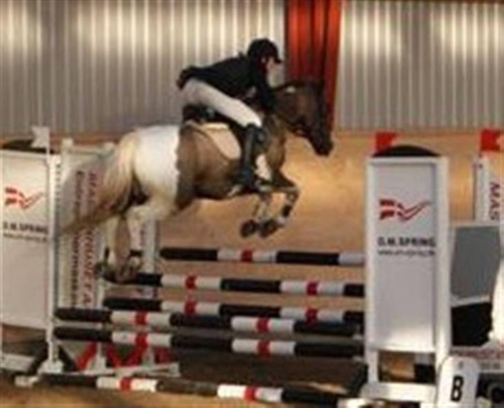 Anden særlig race Charlie *B-PONY* **R.I.P D. 13.03.2012** - Vores super pony...MB billede 13